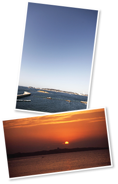 日間賀島の海景色