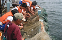 底引き漁法